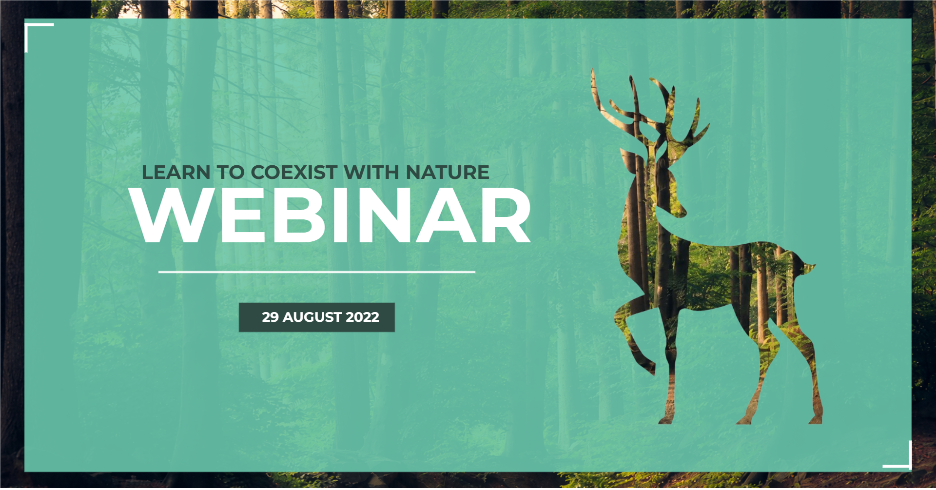 Nature Webinar
