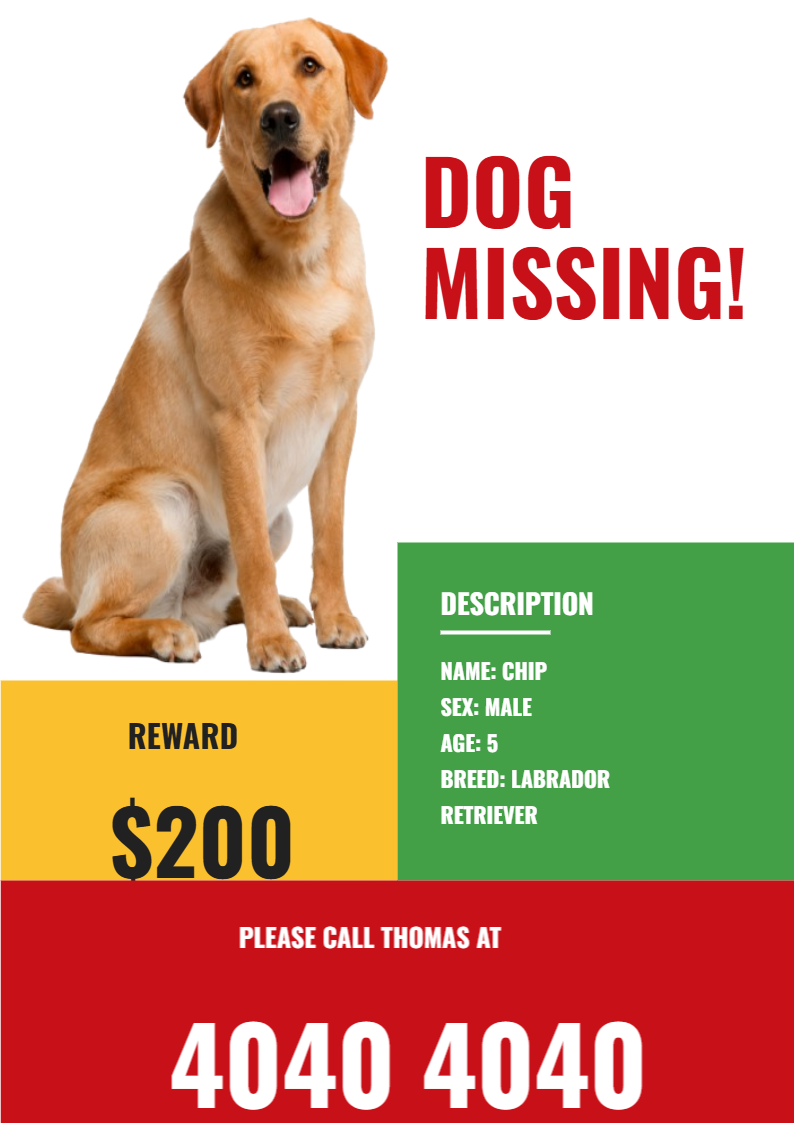 Dog Missing Pet Notice Flyer