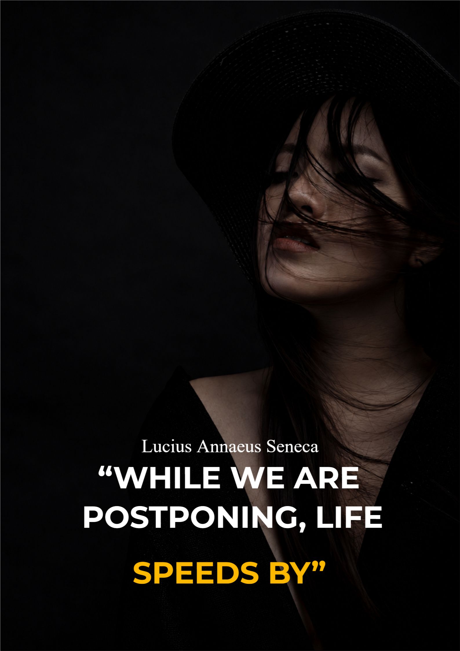 Seneca Life Wisdom Quote Poster