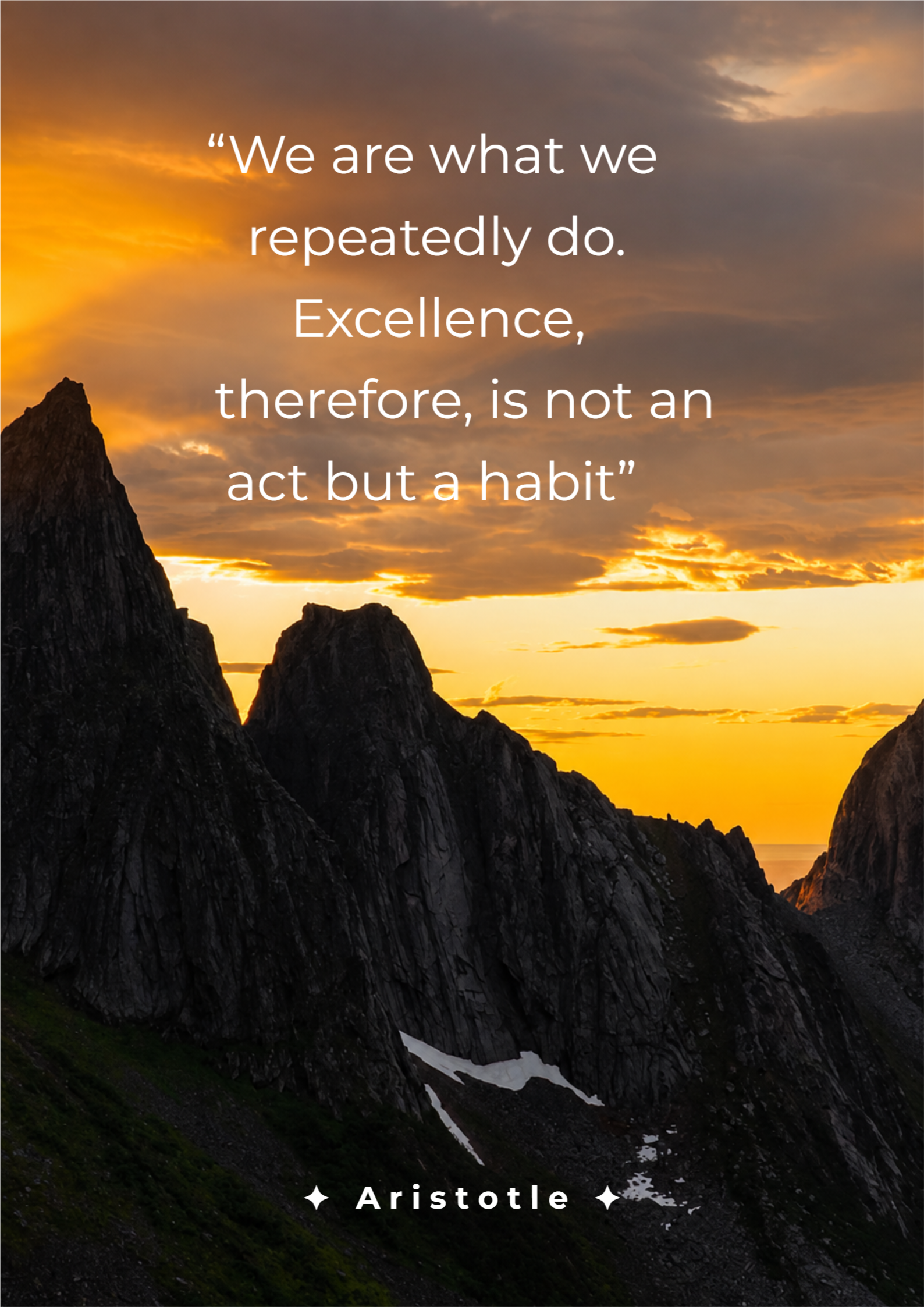 Aristotle Mountain Excellence Quote Poster