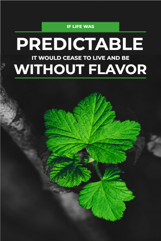 Predictable Without Flavor