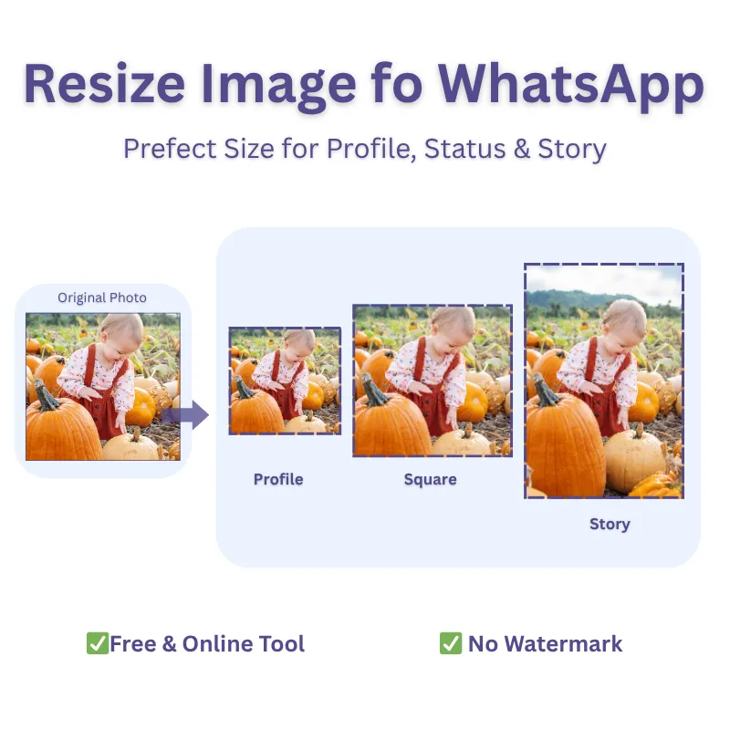 image-resize-whatsapp