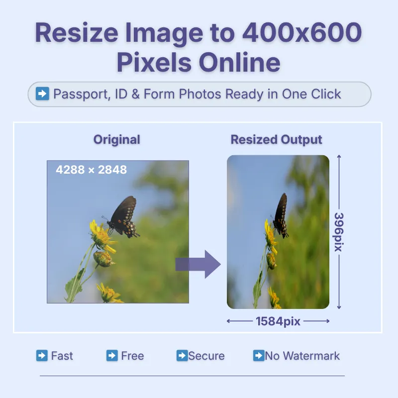 resize-image-to-400x600